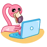 👨‍💻 นกฟลามิงโก, คอมพิวเตอร์, พิมพ์, แล็ปท็อป, สัตว์, น่ารัก telegram sticker
