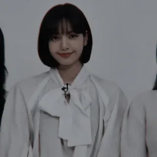 🎞 Lisa lisa, blackpink, kpop, cantora, idol, artista telegram sticker
