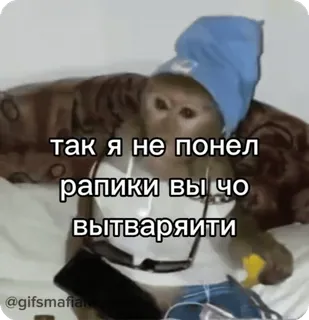 🌟 так я не понял рапики вы чо вытваряити khỉ, nga, nhãn dán, hài hước, meme telegram sticker