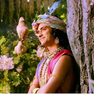 🥳 Krishna Hinduísmo, divindade, espiritual, cultura indiana, figura religiosa, Krishna, Deus Hindu telegram sticker