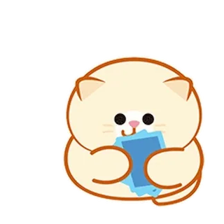 ⭐ kat, schattig, dier, kawaii, sticker whatsapp sticker