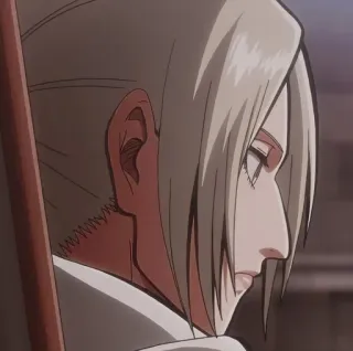 🌟 Annie Leonhart Attack on Titan Anime, Charakter, Mädchen, Soldat, Blond telegram sticker