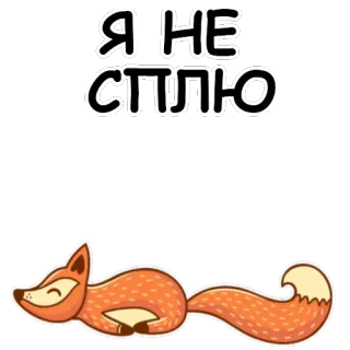 🐱 Я НЕ СПЛЮ lis, sen, spiący, zwierzę, kreskówka, słodki whatsapp sticker