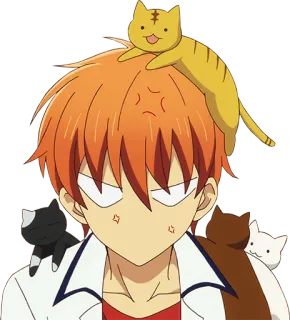 😠 Kyo Sohma Fruits Basket Anime, Mèo, Nhân vật, Kyo Sohma, Fruits Basket telegram sticker