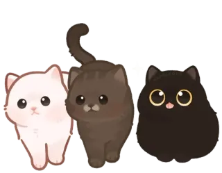 🐾 猫, 子猫, 動物, 可愛い, ペット, 家庭, ネコ科 telegram sticker