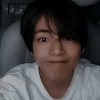 🐻 telegram sticker