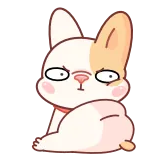 😒 perro, animal, lindo, dibujos animados, pegatina, bulldog francés whatsapp sticker