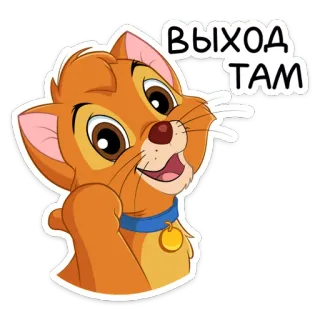 😠 ВЫХОД ТАМ mèo, động vật, nhãn dán, hoạt hình telegram sticker