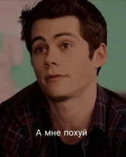 🦊 А мне похуй telegram sticker