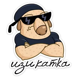 🕶 изикатка 강아지, 선글라스, 캐릭터, 일러스트 telegram sticker