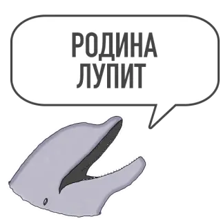 🚀 РОДИНА ЛУПИТ delfín, ruso, texto, animal whatsapp sticker