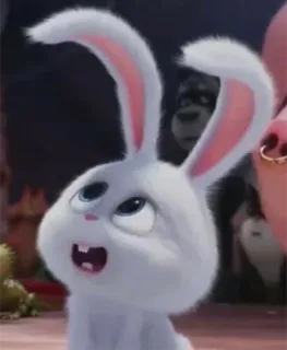 😳 Snowball The Secret Life of Pets bunny, rabbit, animal, cute, cartoon, pet telegram sticker