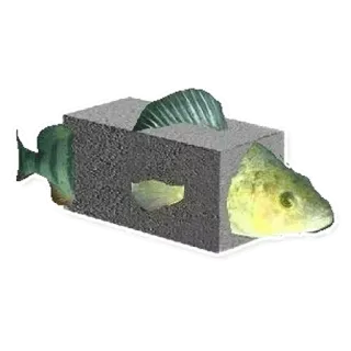 😐 pesce, cubo, animale, adesivo, mare, divertente telegram sticker