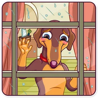 😊 หมา, เศร้า, หน้าต่าง, ฝน, การ์ตูน telegram sticker
