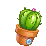 🎁 cactus, fleur, plante, pot, nature whatsapp sticker