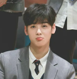 🥺 Cha Eun-woo K-POP, ASTRO, アイドル, セレブ, 俳優, 韓国, 歌手, チャウヌ telegram sticker