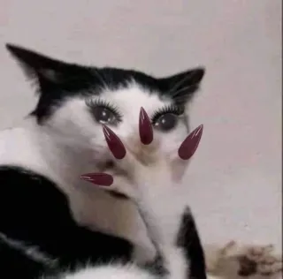🙄 Katze, Nägel, Wimpern, lustig, Tier, Meme telegram sticker