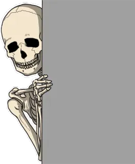 👁️ โครงกระดูก, แอบดู, น่ากลัว, ฮาโลวีน, กระดูก, ขำขัน telegram sticker