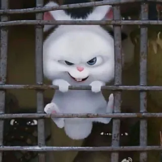 🍥 Snowball The Secret Life of Pets thỏ, kẻ phản diện, dễ thương, tức giận, động vật telegram sticker