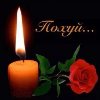 🍄 Похуй... candle, rose, flower, russian, text telegram sticker