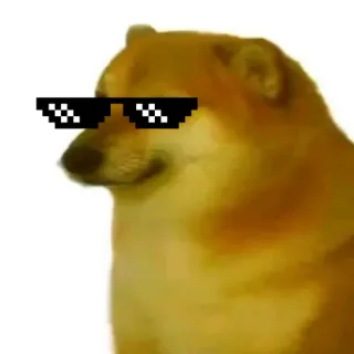 🐕 Doge doge, meme, dog, glasses, cool telegram sticker
