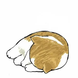 😀 gatto, dormire, carino, animale, animale domestico, animale domestico telegram sticker
