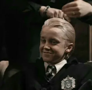🐾 Draco Malfoy Harry Potter 드레이코 말포이, 슬리데린, 해리 포터, 마법사, 교복, 젊은 배우 telegram sticker