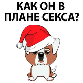 😁 КАК ОН В ПЛАНЕ СЕКСА? dog, christmas, santa hat, russian, sex, funny telegram sticker