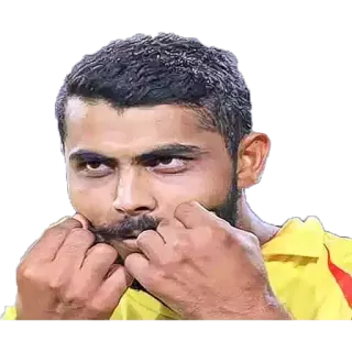 😊 retrato, pessoa, indiano, homem, esporte, atleta, cricket whatsapp sticker