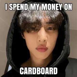 💸 I SPEND MY MONEY ON
CARDBOARD meme, cardboard, spending, funny, hoodie telegram sticker