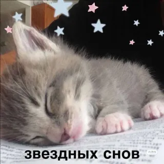 ✨ ЗВЕЗДНЫХ СНОВ telegram sticker