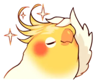 😎 นกค็อกคาเทล, นก, สัตว์, น่ารัก, การ์ตูน, สติกเกอร์ telegram sticker