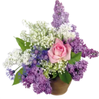 Цветы 2 @StikerDi telegram stickers