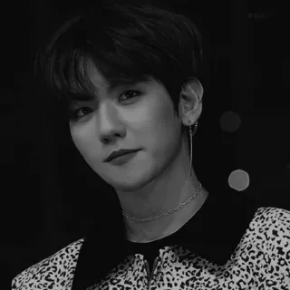 🖋 Baekhyun kpop, sänger, idol, portrait, promi telegram sticker
