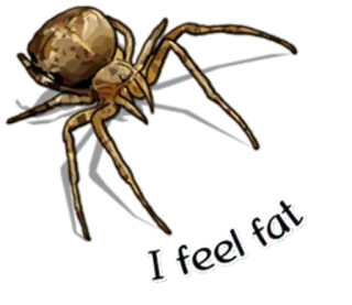 😡 I feel fat spider, fat, insects, animal, arachnid telegram sticker