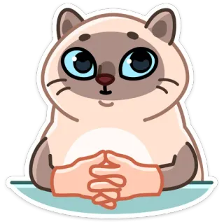 😕 кот, питомец, сиамский, милый, животное, наклейка telegram sticker