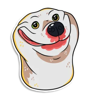 😁 dog, meme, funny, animal, cute whatsapp sticker