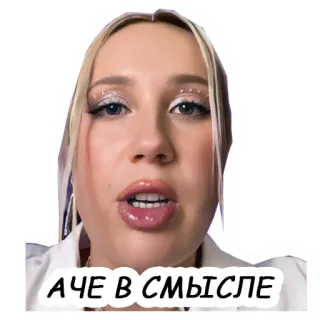 🤨 А ЧЕ В СМЫСЛЕ telegram sticker