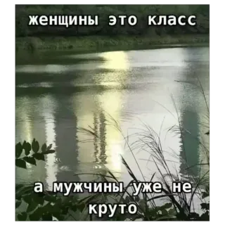 🫥 женщины это класс а мужчины уже не круто telegram sticker