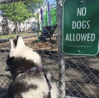 🐺 NO DOGS ALLOWED telegram sticker