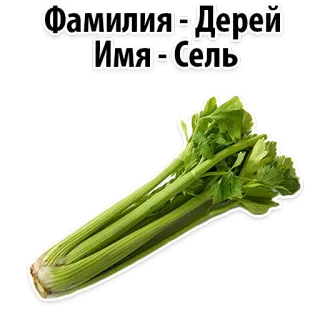 😝 Фамилия-Дерей
Имя-Сель Aipo, Vegetal, Comida, Planta, Verde, Nome, Família telegram sticker