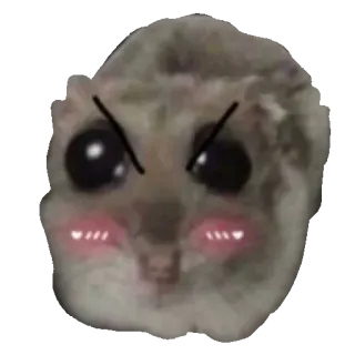 😠 hamster hamster, angry, blushing, cute, meme, reaction telegram sticker