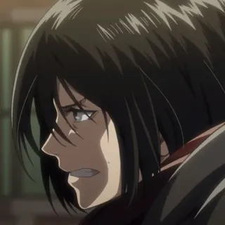 🗡 Mikasa Ackerman Attack on Titan anime, character, Mikasa Ackerman, Attack on Titan, serious, animation telegram sticker