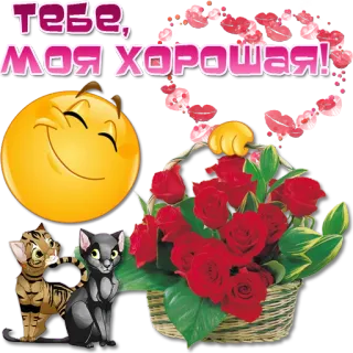 😀 тебе, моя хорошая! Emoji, Gatti, Fiori, Rosa, Cesto, Cuori, Amore telegram sticker