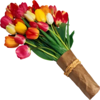 🌺 flowers, tulips, bouquet, spring, floral, gift telegram sticker