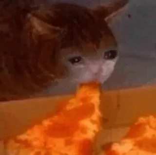 😭 cat, vomit, pizza, sad cat telegram sticker
