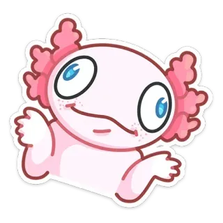 🤷‍♂️ axolotl, mignon, animal, sticker, dessin animé whatsapp sticker