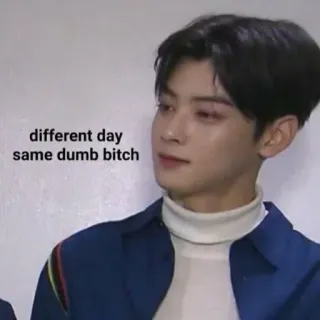 😂 different day same dumb bitch Meme, Offensivo, Insulto, Divertente, Testo telegram sticker
