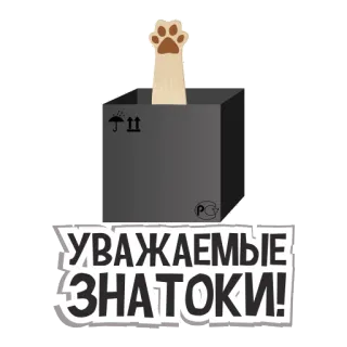 DailerCats telegram stickers