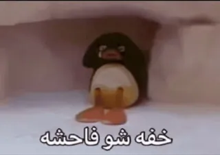 😂 خفه شو فاحشه Beleidigung, Pinguin, traurig, weinend, Schimpfwort telegram sticker